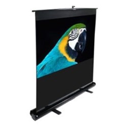 Elite Screens - ES-F84XWH1