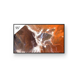 55BZ30P